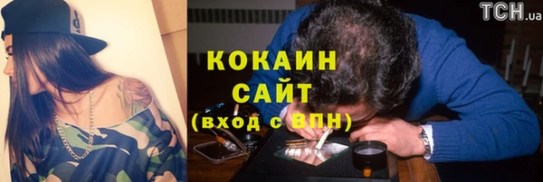 кокс Алексин