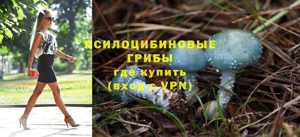 кокс Алексин