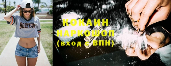 кокс Алексин