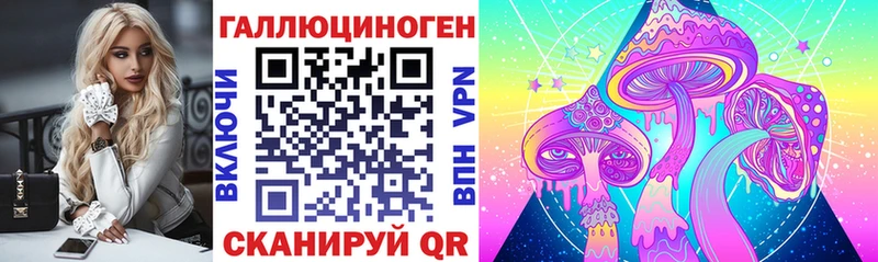 где купить наркоту  Асбест  Псилоцибиновые грибы Psilocybe 